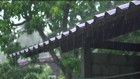 SOM DE CHUVA 6 minutos PARA RELAXAR E DORMIR GOSTOSO 2021