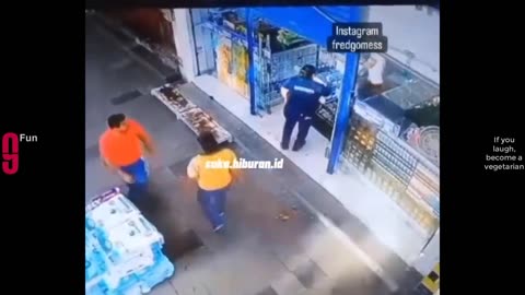 Funny Videos