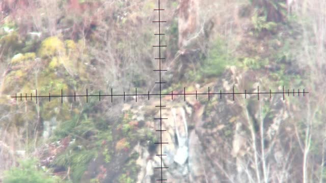Bullet trace at 950 yards