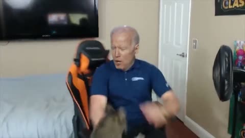 Biden Cat Attack Bedroom