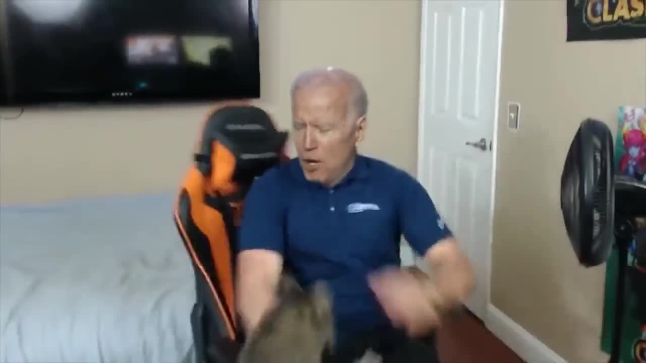 Biden Cat Attack Bedroom