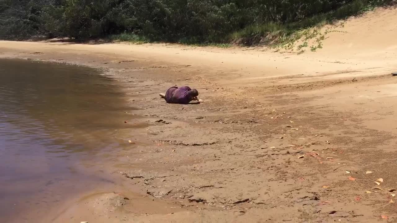 A Sand-Boarding Outing Ends In Hilarious Epic Fail