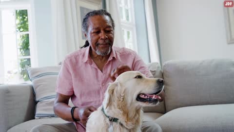 14 Signs Your Dog Doesn’t Love You