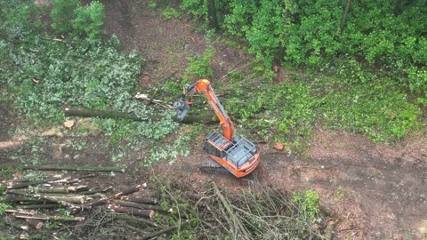 Ariel view of a Doosan DX180 Cutting a Tree