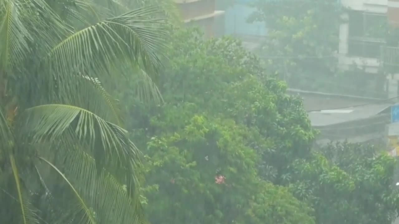 5 Minutes Rain Sound for Sleeping