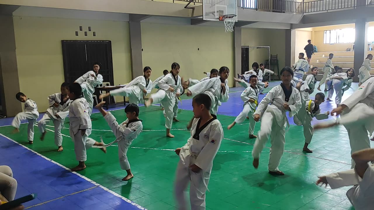 Taekwondo practice