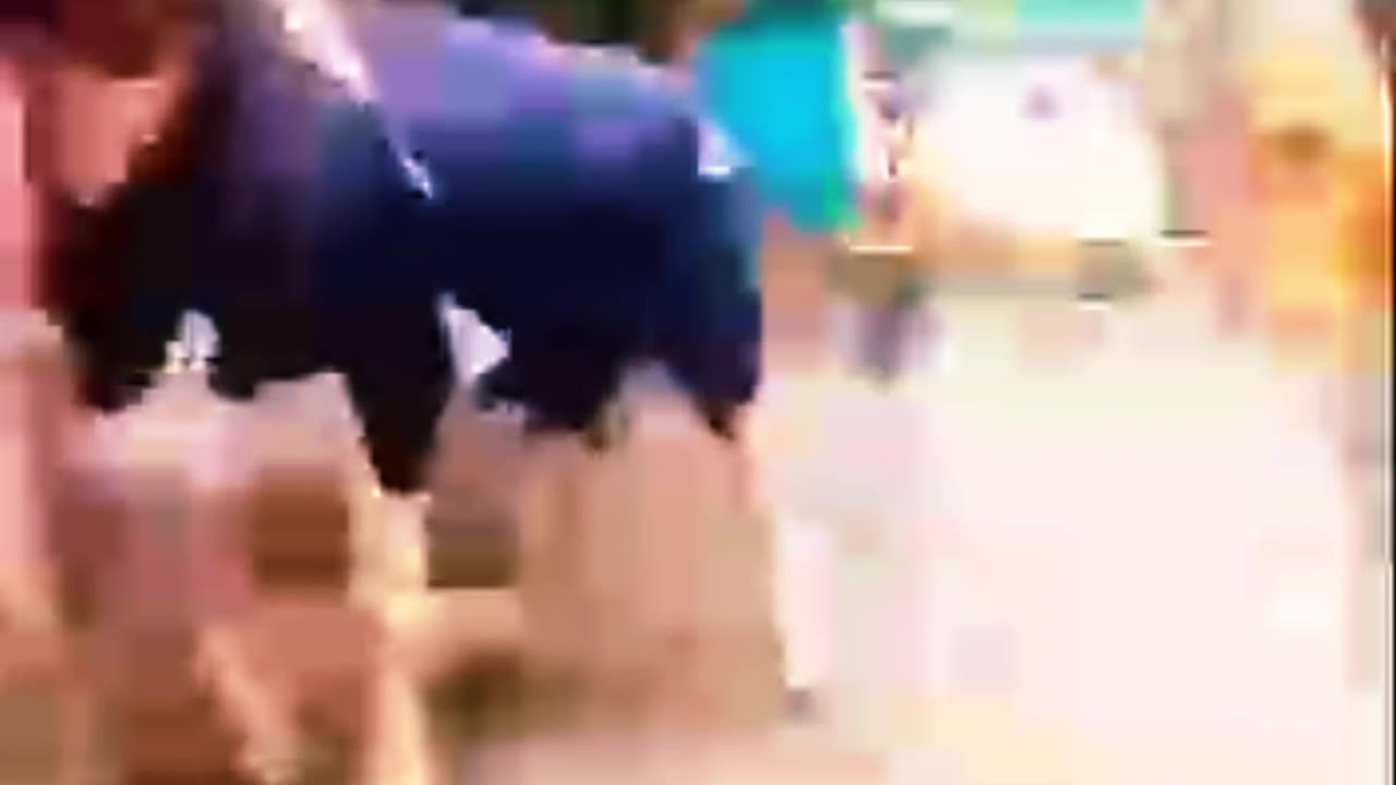 MAN TOUCHES A COW AND IT KICKS HIM😰😰😰😰