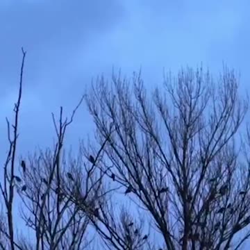 Woman in Kiev Filmed the Arrival of a Kinzhal Hypersonic Missile