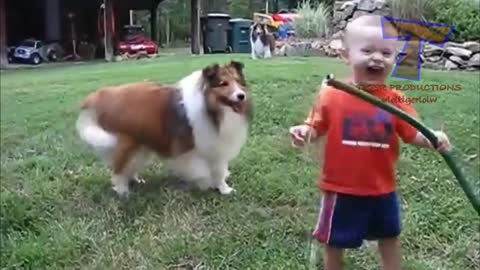 funny baby and animal