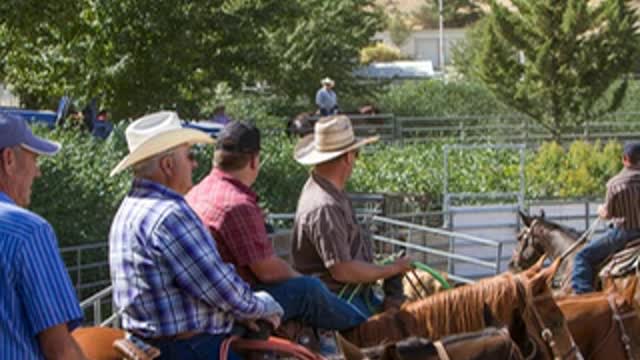 The Ropin' Pen