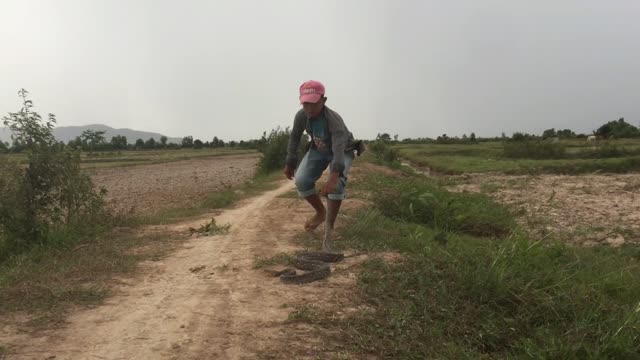 Wow ! Boy Catches Big Snake on The Road While Going Fishing - Catch Biggest On The Road By Brave Boy