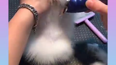2 cute
