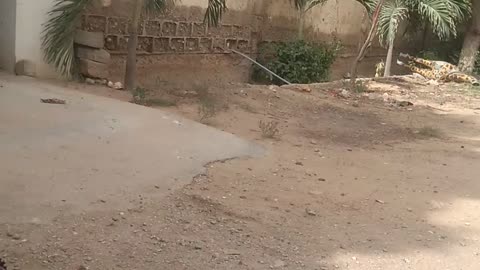 How to make sure 😺😺 to be there for you 👄😜 to come over