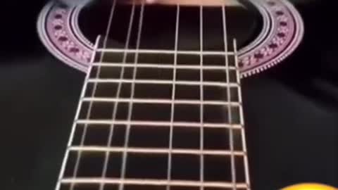 played the guitar