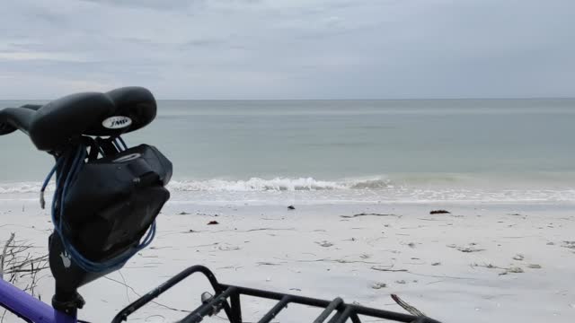 Honeymoon Island New Moon Low Tide