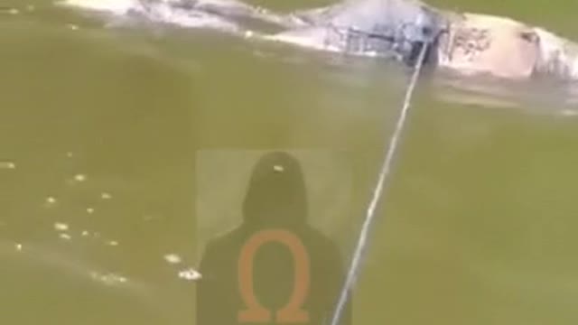 makeleio.gr - Ανάσυρση σορού λ@θρομετανάστη στον Έβρο