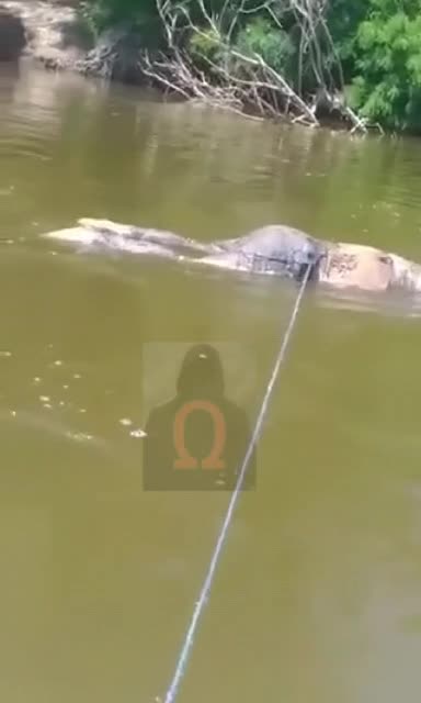 makeleio.gr - Ανάσυρση σορού λ@θρομετανάστη στον Έβρο