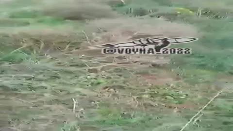 Die Ukrainer schreiten voran. Und sie werden ihre Bewegung nicht stoppen. Rusnia, es ist besser,