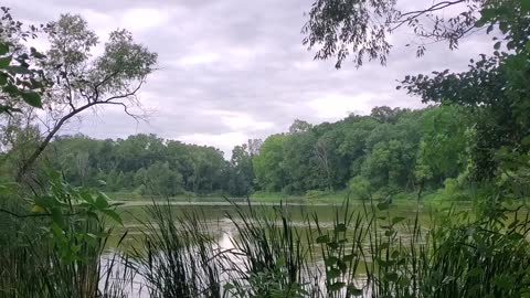 Neighborhood Pond in the Evening