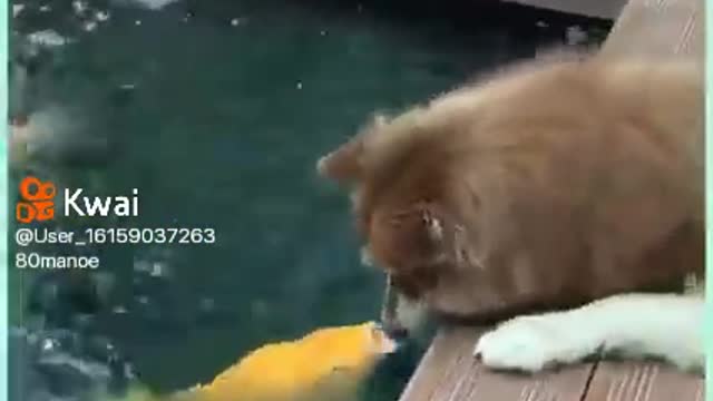 cute friendships