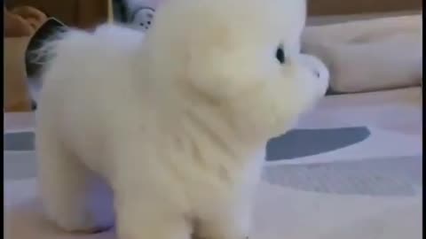 Best Funny Animal Videos 2022 😺 Funny Dog Videos 2022 😁 Funniest Dog Videos 😁😇