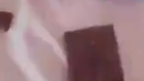 MAGNETIC CHOCOLATE