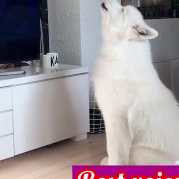 Gary made me do it . Watching my fav movie