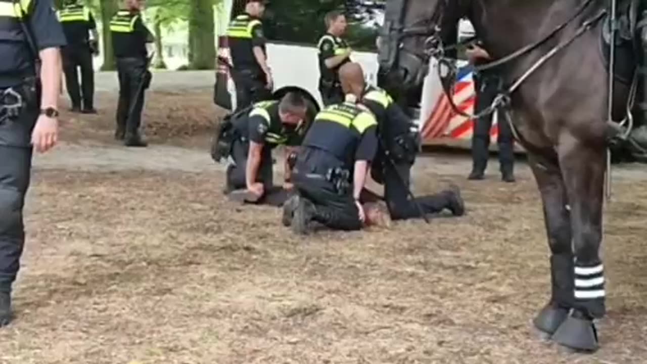 Dutch police arrest protester during farmers convoy