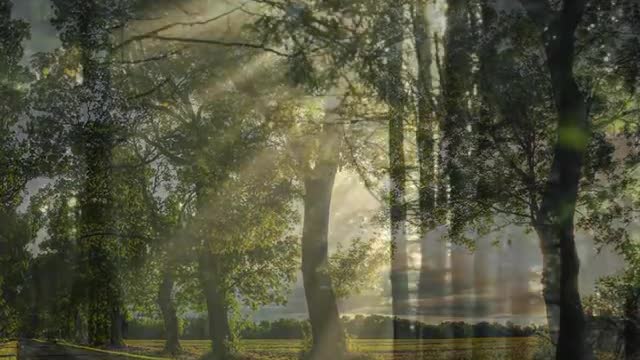 Morning has broken