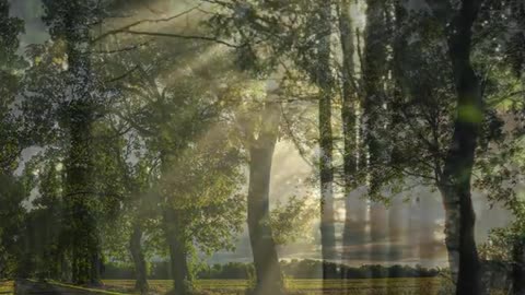 Morning has broken