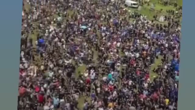 Dutch farmers protesting