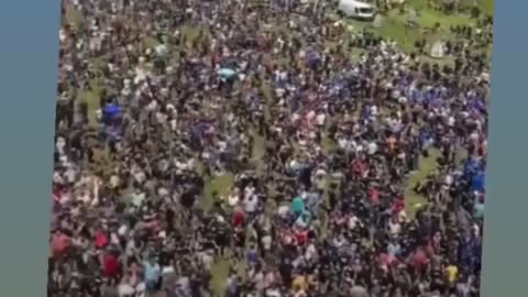 Dutch farmers protesting