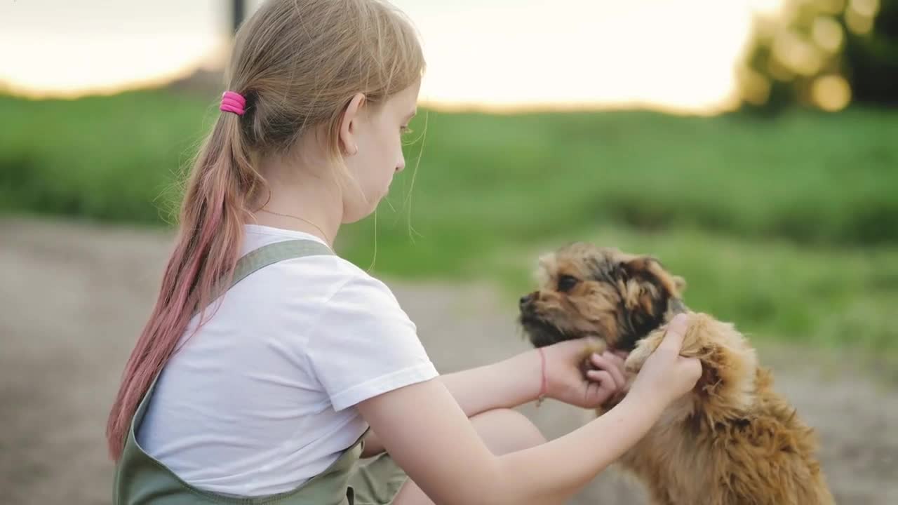 Happy girl play with little puppy. Small dog in arms girl child. Walks in park with dog at sunset