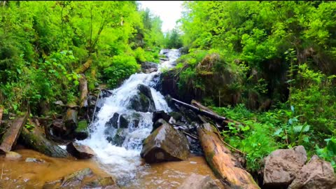 River Currents flow