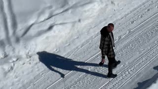 Doggo Doesn't Want to Stop Rolling in the Snow