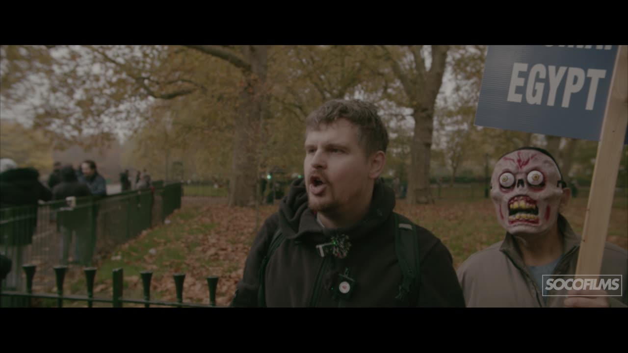 Rainbow Poppies? | Bob | Speakers Corner