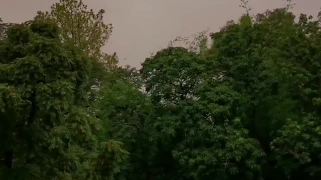 Islamabad capital