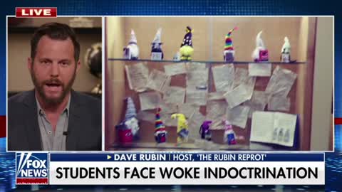 Dave Rubin on woke indoctrination at schools