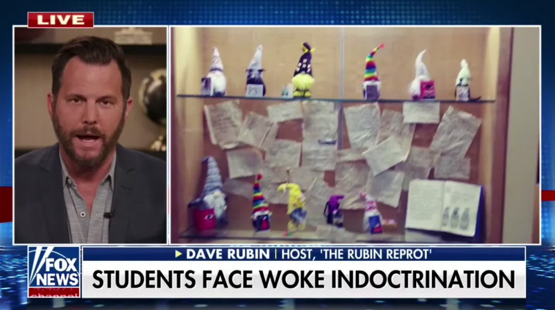 Dave Rubin on woke indoctrination at schools