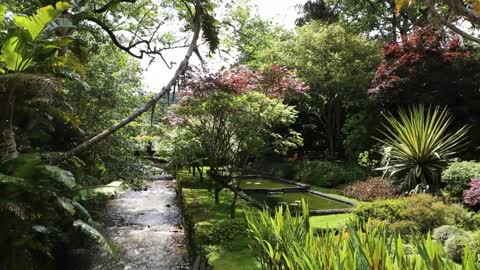 Meditation to the sound of nature