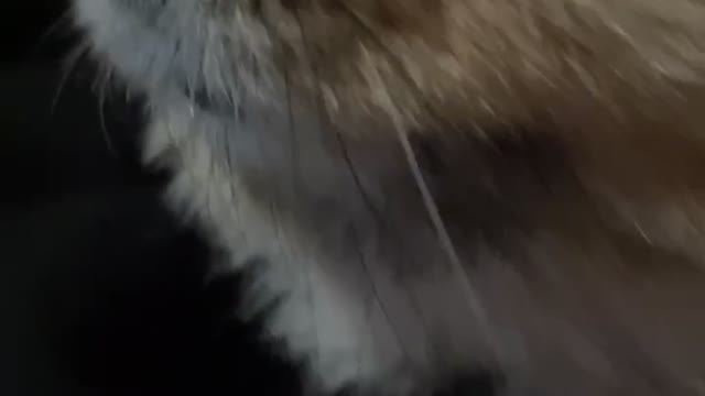 You know it's cuter up close