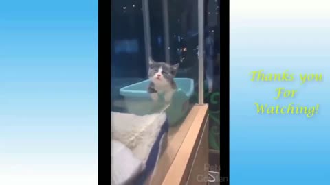 Kitten Really Tired