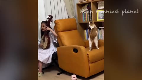 Funny Dogs And Cats Videos 2024 😅 - Best Funniest Animal Videos Of The week #12