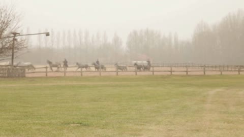 Herding Horses In Romania