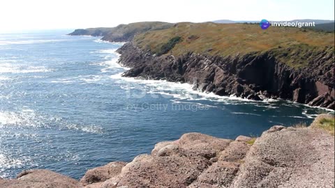 Evaluating Wind Turbines in Newfoundland: Biodiversity and Environmental Considerations