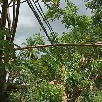 A Cause of Filipino Black Outs