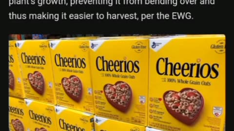 80% dos americanos testam positivo para substância química encontrada em Cheerios Quaker Oats que pode causar infertilidade.