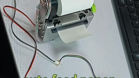 Revolutionize Paper Printing: Introducing Auto Feed for Embedded Printers!