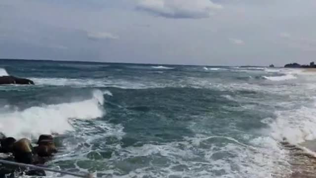 Waves in the east sea of korea