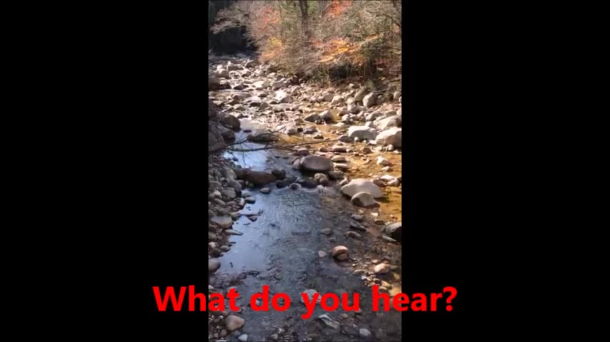 Prompts for WH Questions and Answers: Walking in the Woods